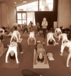 yoga-festival-catania-febbraio-2012